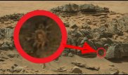 NASA показало фотографию "марсианских пауков"
