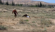 Нападение беркута на девочку на Иссык-Куле сняли на видео