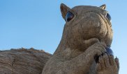 Тиін және туризм. Жануарларға мүсін қоюдың сыры неде?