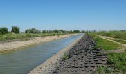 Жители пригорода Астаны просят не осушать канал из-за несчастных случаев
