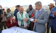 Древние сокровища найдены в ходе раскопок в Восточном Казахстане