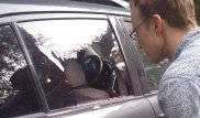 В 150 метрах от места убийства Дениса Тена напали на еще одну машину