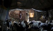 Индусы насмерть забили мусульманина из-за коровы
