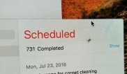 Паук поселился в iMac и начал ползать под стеклом