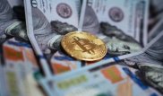 Сотрудник Qiwi "намайнил" на терминалах компании 500 тысяч биткоинов