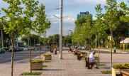 О планах по озеленению города рассказали в акимате Алматы
