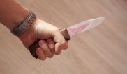Убил сына, защищая внуков. Пенсионера осудили в Акмолинской области