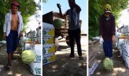 Узбекистанцы сняли на видео небьющийся арбуз