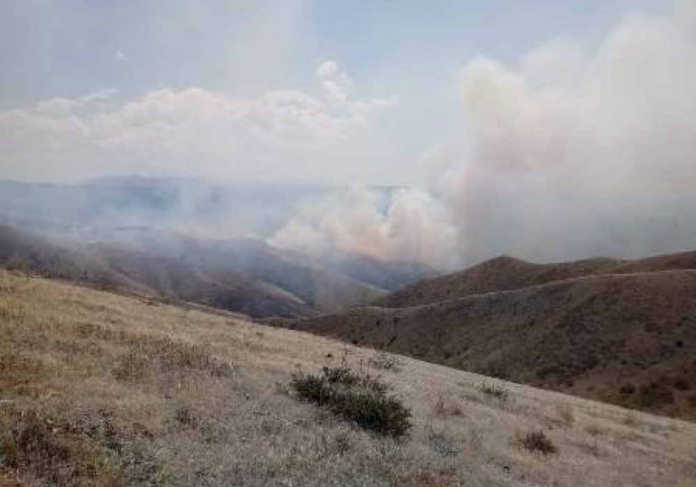 Крупный пожар сутки тушат в Жамбылской области. Погиб лесник