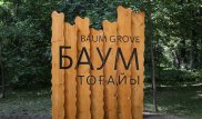 Захваченные земельные участки в роще Баума вернули городу