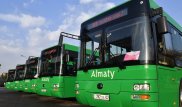 569 новых автобусов запустят в Алматы