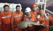 Фото странного улова на Кашагане обсуждают в соцсети