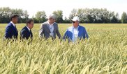 Назарбаев поручил не затягивать с уборкой урожая
