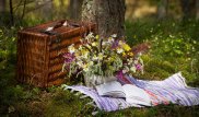 В Алматы пройдет городской пикник