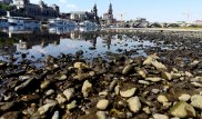 "Плачьте, увидев меня": грозные пророчества показались из мелеющих рек в Европе