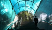 Почему с "подземок" Алматы убрали крыши