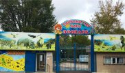 Питона-альбиноса и каймана подкинули неизвестные в зоопарк Караганды