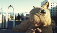 Алматинскую белку хотят забрать россияне