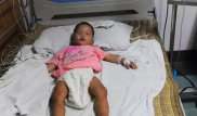 2-летняя девочка провела 4 дня в лесу и выжила