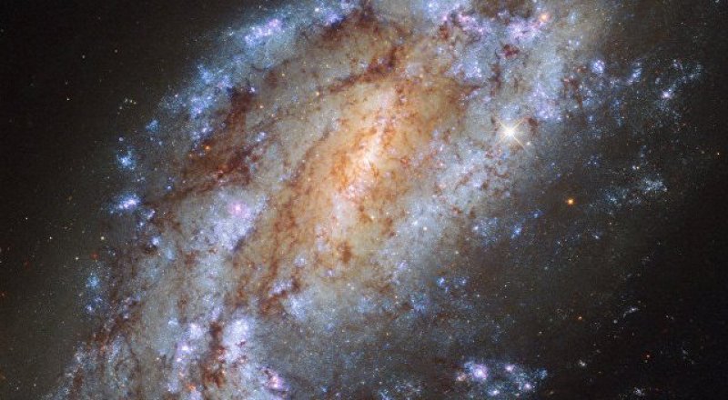 Фото: ESA/Hubble & NASA