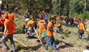 Более тысячи елей высадили алматинцы в горах ущелья "Медеу"
