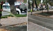 Зачем газоны Алматы поливают зеленой жидкостью из шлангов