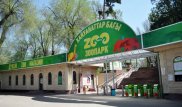 В зоопарке Алматы родился жирафенок