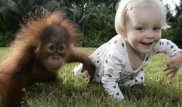 Ученые нашли необычное сходство в жестах маленьких детей и приматов