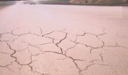 Растрескавшийся автобан в Карагандинской области стоил 11 миллиардов тенге