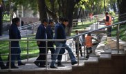 1000 деревьев посадят на проспекте Абая в Алматы