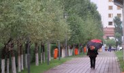 Погода ухудшится в Казахстане