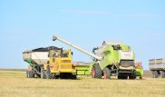 В Акмолинской области подвергли критике получателей субсидий