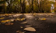 В Астане ожидается потепление
