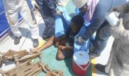 Унесенного в море индонезийского подростка обнаружили живым через 49 дней