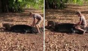 Экстремальное видео: турист оседлал пятиметрового крокодила и выжил
