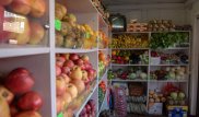 Что чаще всего продают астанчане в местах уличной торговли