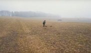 "Мы никогда ничего подобного не видели". Загадочный артефакт нашли в Швейцарии