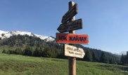Проект "Кок-Жайлау": активисты обсудили меры по защите экологии