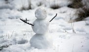 Снежная осень: почему природа "путает" сезоны