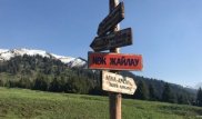 Урочище Кок-Жайлау: строительство курорта обсудили в Алматы