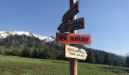 Айдос Сарым и Мухтар Тайжан высказались о проекте "Кок-Жайлау"