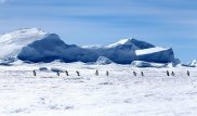 Ученые показали структуру, скрытую подо льдом Антарктиды