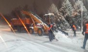 Акимат попросил алматинцев не парковать авто у обочин