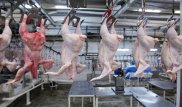 Россия ограничит транзит мяса птицы из США в Казахстан