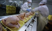 Казахстан выиграет от ограничения поставок курицы из США - экономист