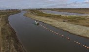 3 тысячи гектаров леса засохло на берегу реки Жайык: в МСХ назвали ситуацию тяжелой