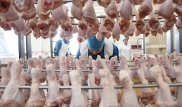 Куриное мясо почти вдвое подорожало в Казахстане
