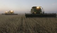 Североказахстанские аграрии не могут забрать урожай с элеваторов
