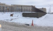 "Страшно за детей": где находится колодец, в котором погибла девочка