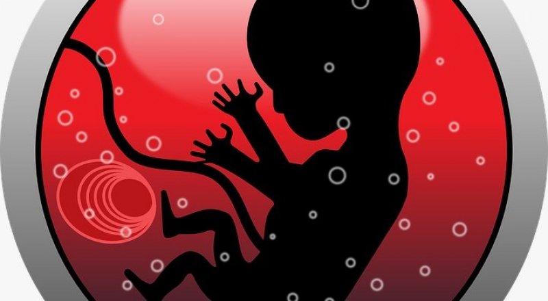 Ученые выяснили, зачем дети пинаются в утробе матери